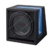 Alpine Type G 12 (2 ohm)