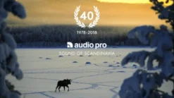 Audio Pro A36 golvhögtalare med Wifi & Bluetooth, svart par