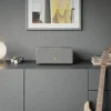 Audio Pro Drumfire D-2 W högtalare med Chromecast & AirPlay 2, grå