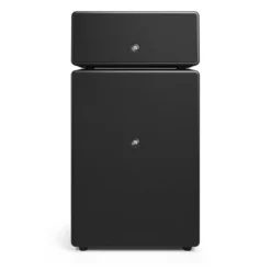 Audio Pro Drumfire II W Wi-Fi-högtalare med Google Cast & AirPlay 2, svart