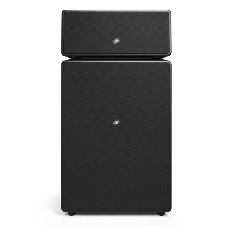 Audio Pro Drumfire II W Wi-Fi-högtalare med Google Cast & AirPlay 2, svart