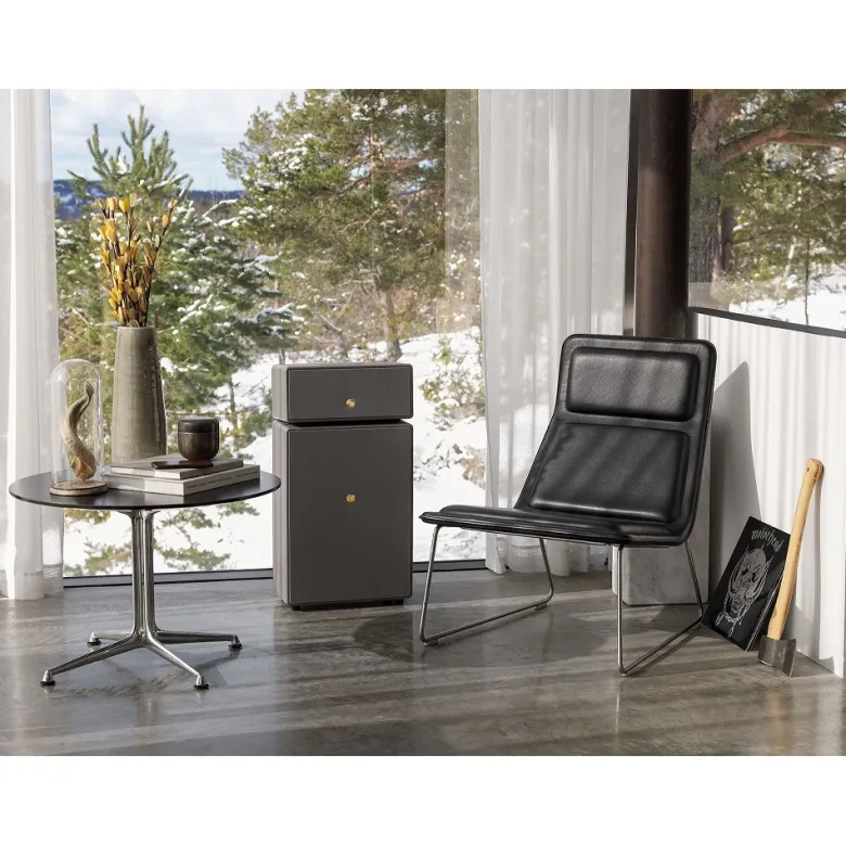 Audio Pro Drumfire II W Wi-Fi-högtalare med Google Cast & AirPlay 2, grå