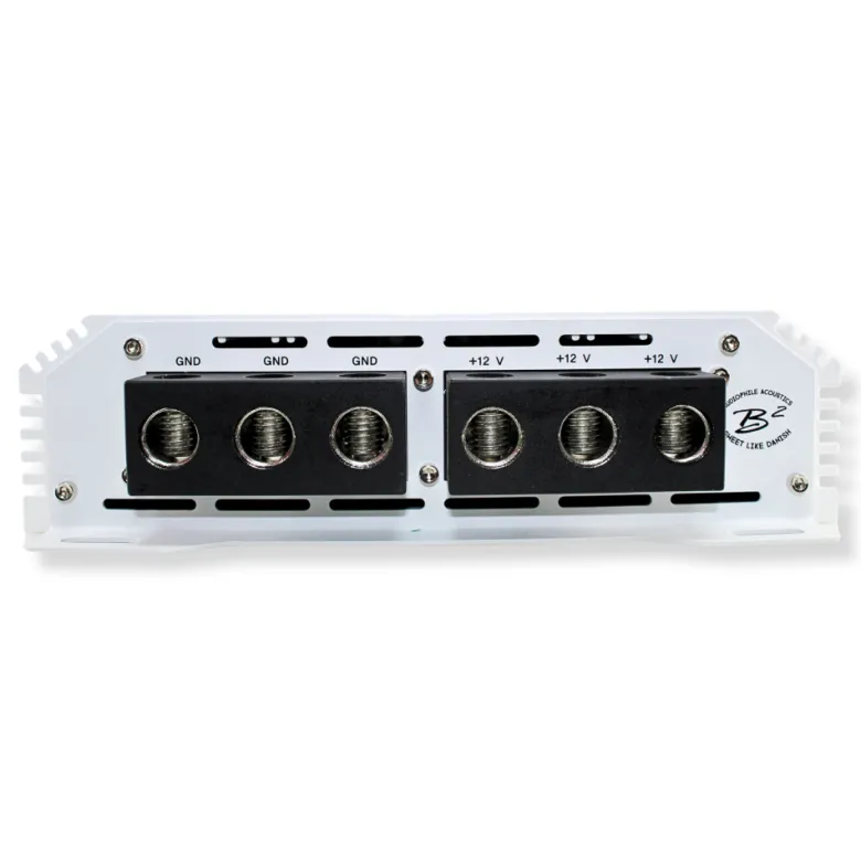 B² Audio RAGE 4500.1, monoblock