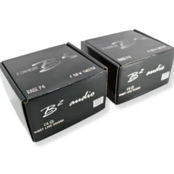 B² Audio RAGE P4 horndiskant, par