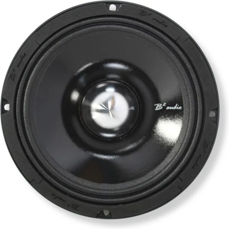 B2 Audio RAGE8PV3 8 tum midbas, par