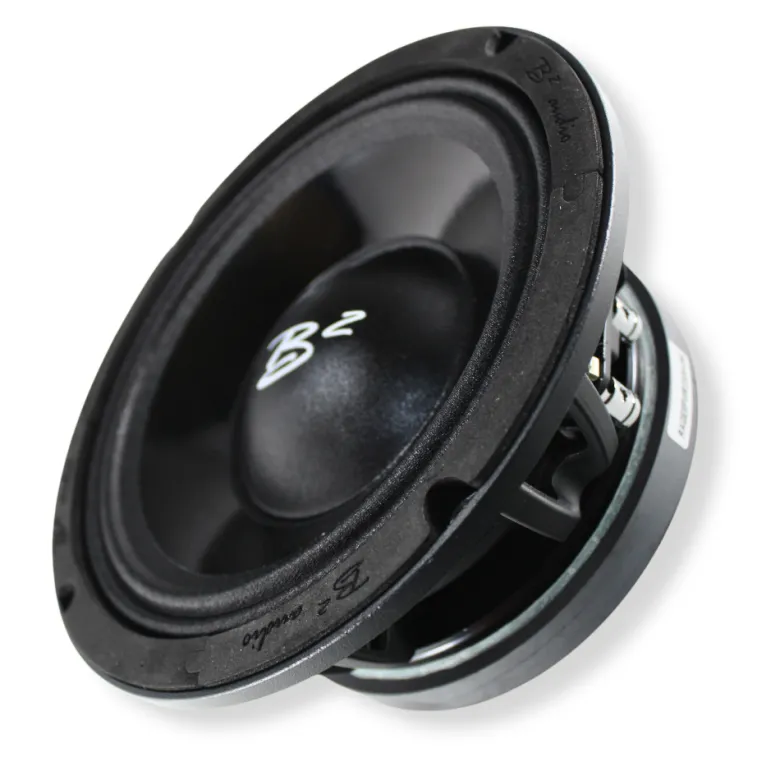 B² Audio RAGE 8PWR 8 tum midbas, par