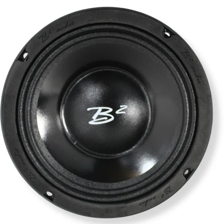 B² Audio RAGE 8PWR 8 tum midbas, par