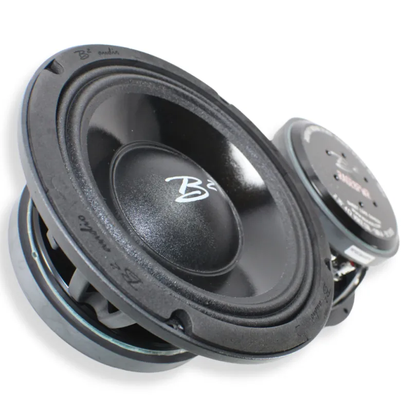 B² Audio RAGE 8PWR 8 tum midbas, par