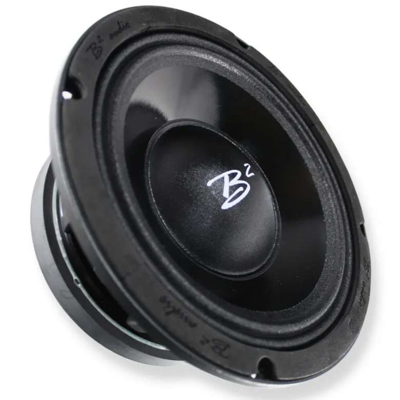 B² Audio RAGE 8PWR 8 tum midbas, par