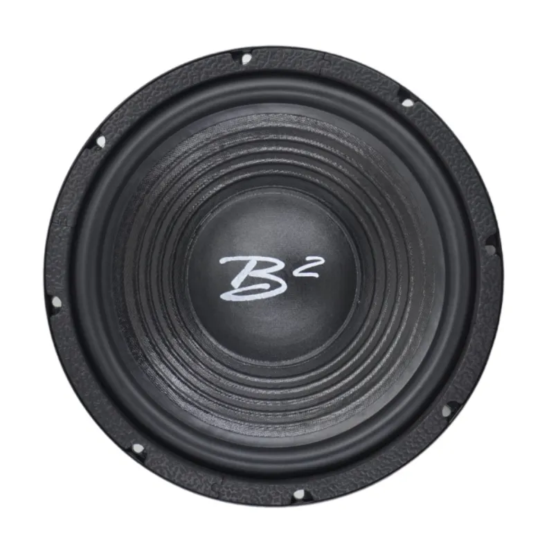 B² Audio RAGE 12PWR 12 tum midbas, par