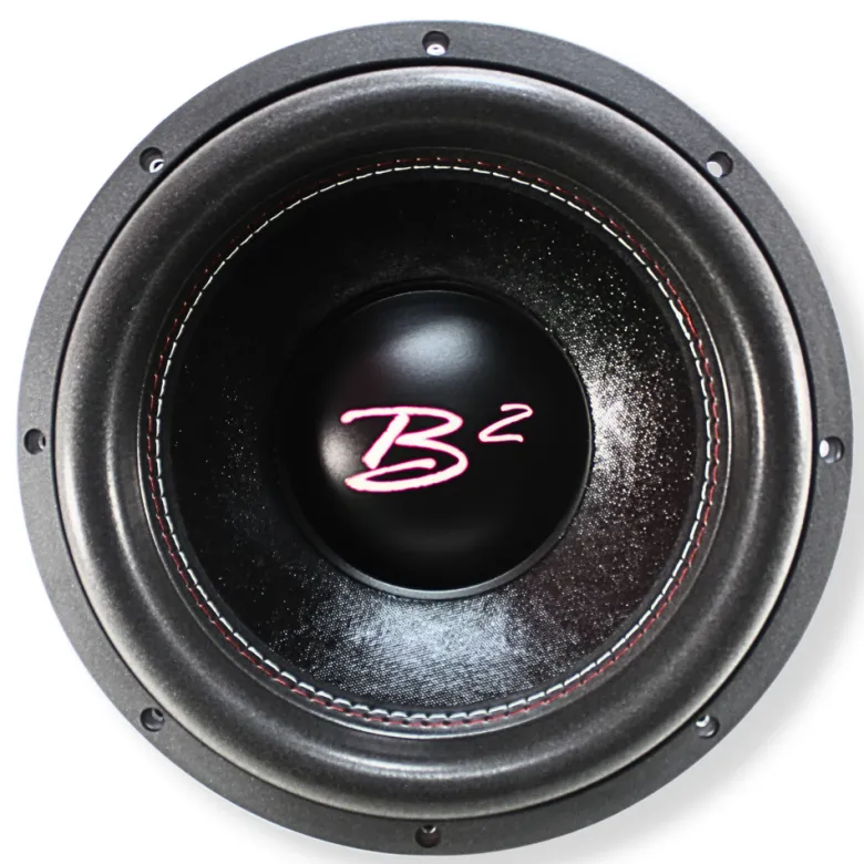 B2 AUDIO RIOT D2 V2, 12tum 2X2 OHM