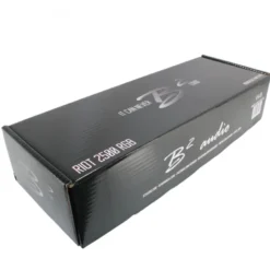 B2 Audio RIOT 2500 RGB, monoblock med RGB-belysning