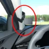 Brodit ProClip, Kia Niro 23-26
