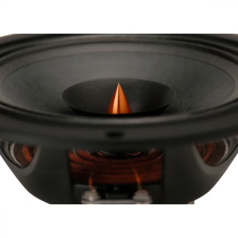 Dayton Audio PS220-8, 8tums Point Source-fullregister
