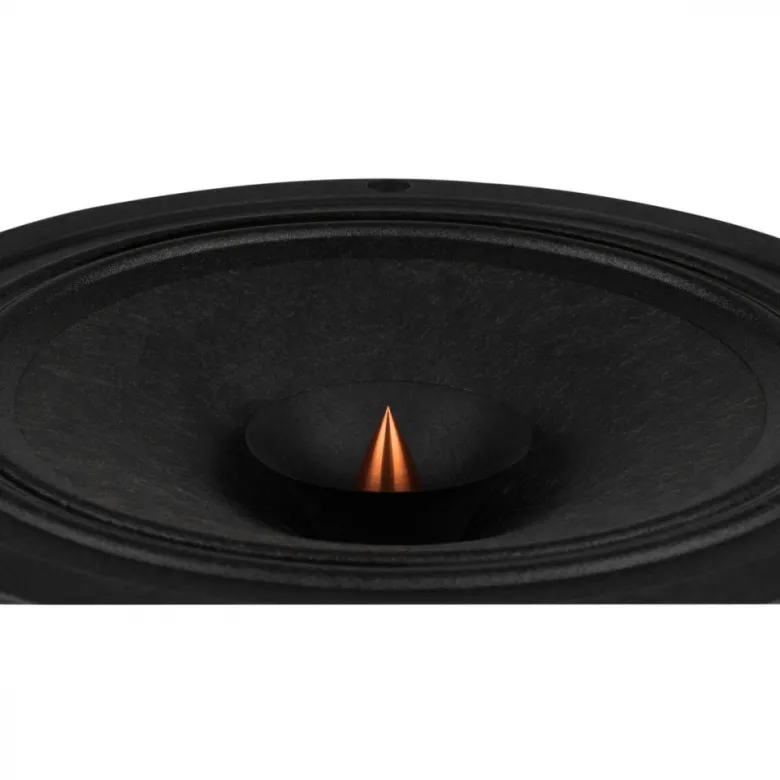 Dayton Audio PS220-8, 8tums Point Source-fullregister