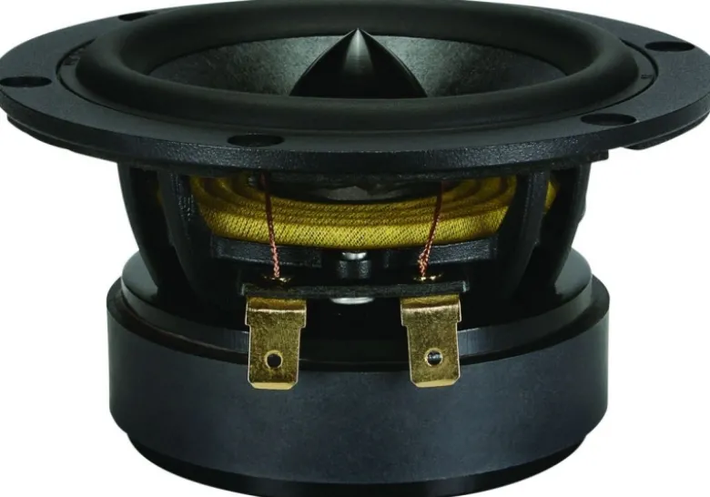 Dayton Audio RS100P-8