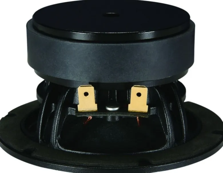 Dayton Audio RS100P-8