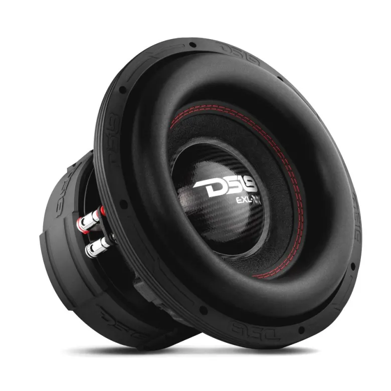 DS18 EXL-XX12.2DHE, brutal 12 tums bas