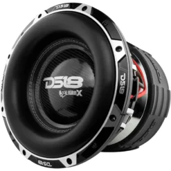 DS18 HOOLIGAN-X12.2DHE, orimligt tung 12 tums bas