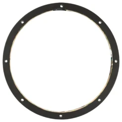 DS18 LRING10, 10tums RGB LED-ring för högtalare/basar