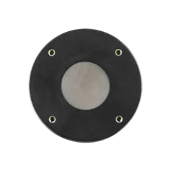 DS18 PRO-DRN2, extrem 2 tums driver med neomagnet & titanmembran