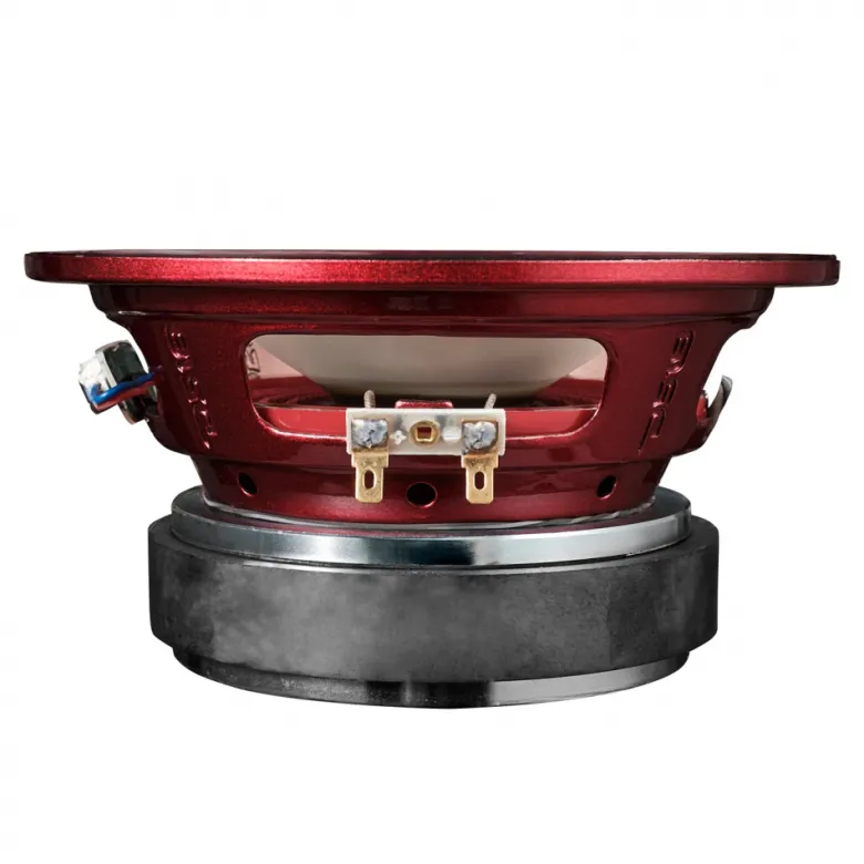 DS18 PRO-X6.4RGB, 6.5 tums RGB LED-midbas, styck