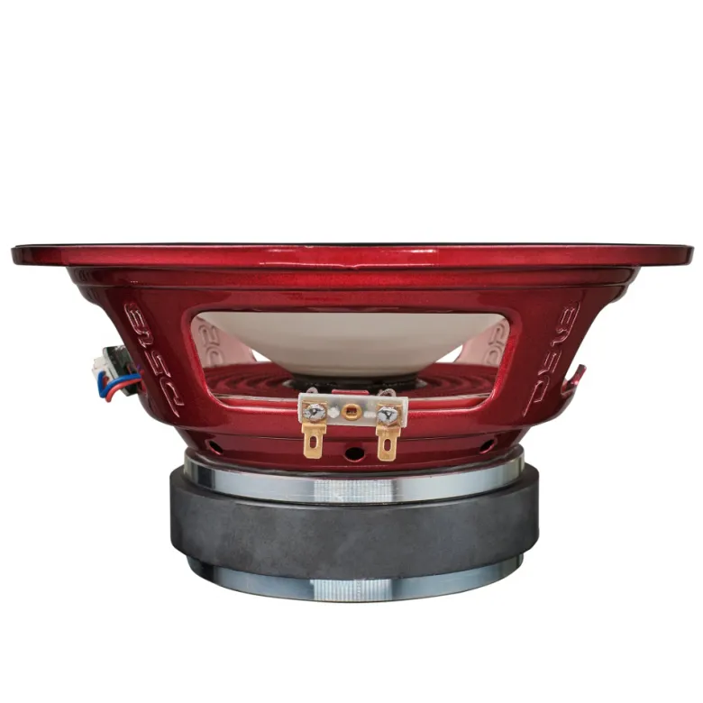 DS18 PRO-X8.4RGB, 8 tums RGB LED-midbas, styck