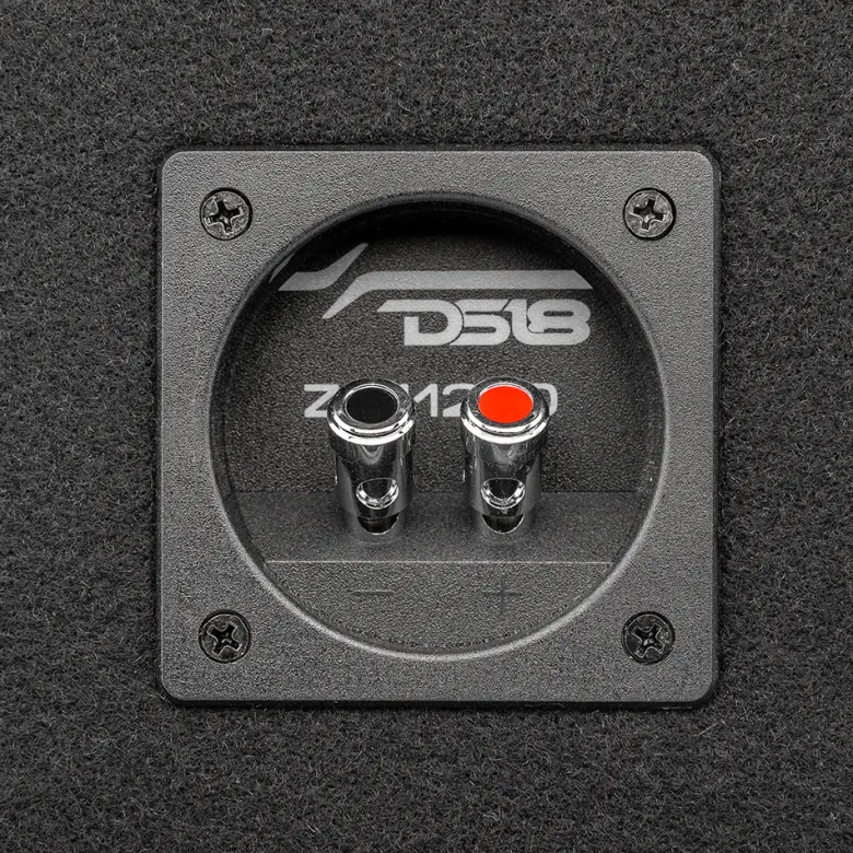 DS18 ZR112LD, portad 1x12 tums baslåda