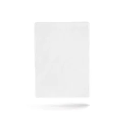 Elipson Architect IW8 inbyggnadshögtalare, styck