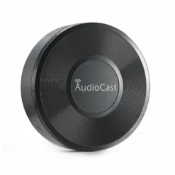 iEAST AudioCast M5, streamingadapter