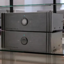 Oehlbach Twin Amp Ultra, RIAA-steg