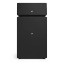 2-pack Audio Pro Drumfire II W Wi-Fi-högtalare med Google Cast & AirPlay 2, svart