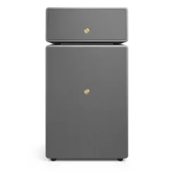 2-pack Audio Pro Drumfire II W Wi-Fi-högtalare med Google Cast & AirPlay 2, grå