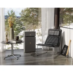 2-pack Audio Pro Drumfire II W Wi-Fi-högtalare med Google Cast & AirPlay 2, grå