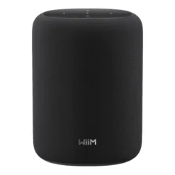 2-pack WiiM Sound Lite smart högtalare, svart