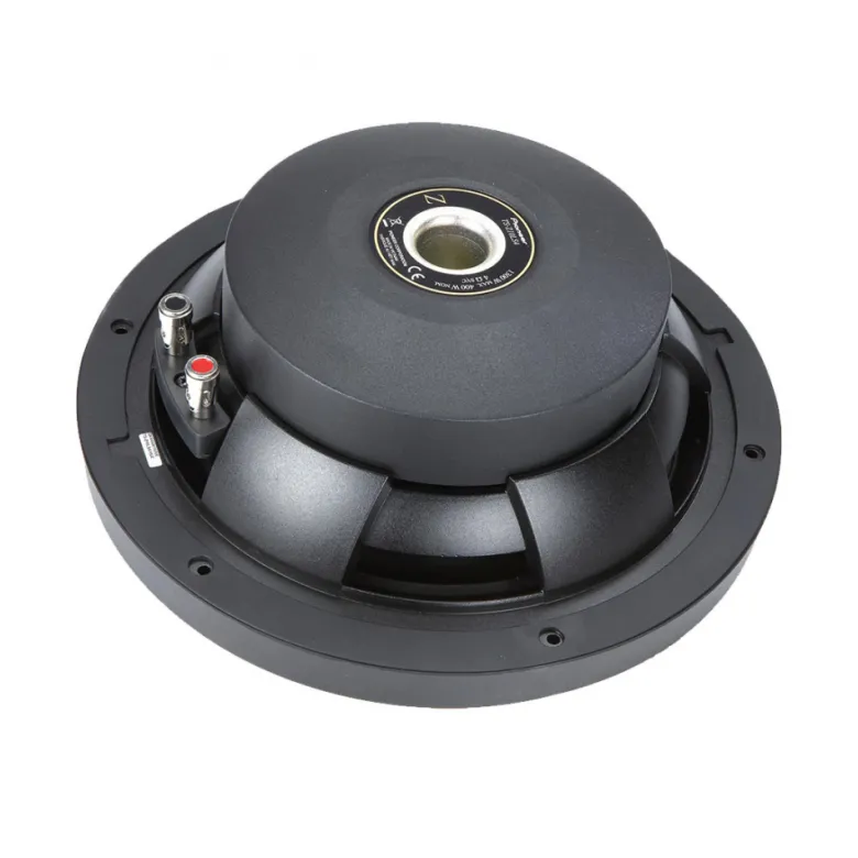 Pioneer TS-Z10LS4 4 Ohm