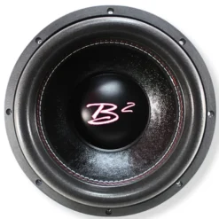 Portad 2x12 tum baslåda med 2st B2 RIOT 12 D4 V2