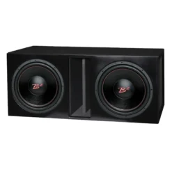 Portad 2x12 tum baslåda med 2st B2 RIOT 12 D4 V2