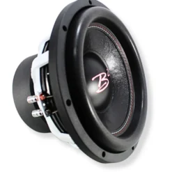 Portad 2x12 tum baslåda med 2st B2 RIOT 12 D4 V2