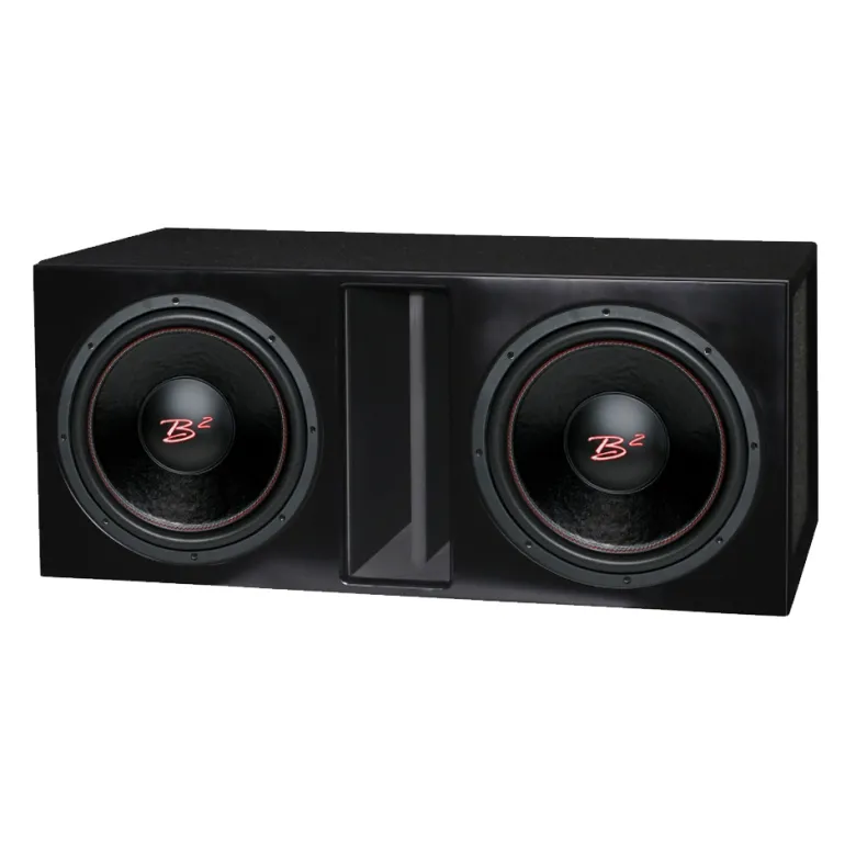 Portad 2x12 tum baslåda med 2st B2 RIOT 12 D2 V2