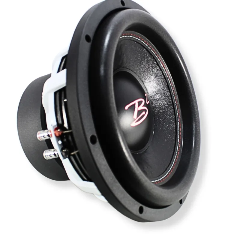 Portad 2x12 tum baslåda med 2st B2 RIOT 12 D2 V2