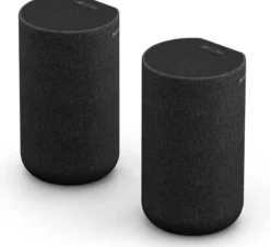 Sony SA-RS5 trådlösa surroundhögtalare med inbyggt batteri, svart
