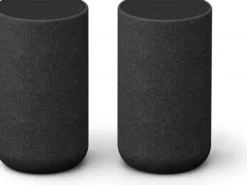 Sony SA-RS5 trådlösa surroundhögtalare med inbyggt batteri, svart
