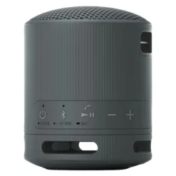 Sony SRS-XB100, bärbar högtalare, svart