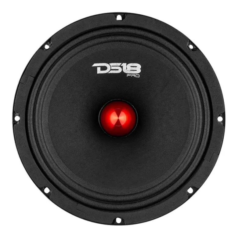 4st DS18 PRO-GM8B i raggarplanka med MAD PT2-254 horndiskanter