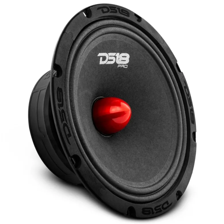4st DS18 PRO-GM8B i raggarplanka med MAD PT2-254 horndiskanter