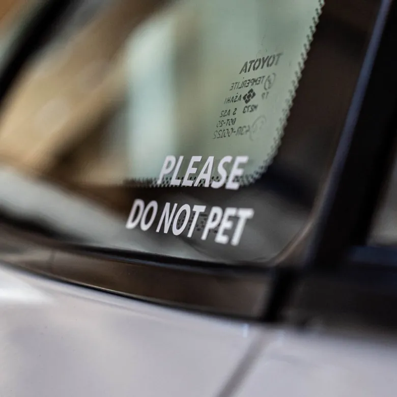 Tershine Dekal - Please Do Not Pet, vit