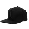 Tershine Snapback-keps, svart logo