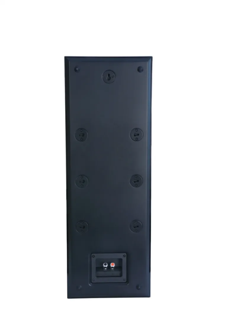 WiiM Amp, SC4B & 2 par mattvita DLS Flatbox XL