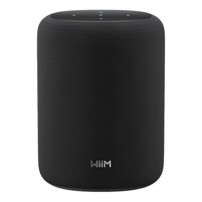 WiiM Sound Lite smart högtalare, svart
